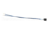 60-12486-0001 Anthony International On/Off Switch