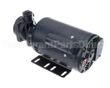 60030056 Frontline Pump & Motor