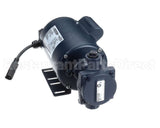 60030059 Frontline Motor & Pump