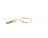 60125501 Anets Thermopile,Millivolt