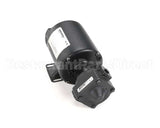 60130802 Pitco Pump,8Gpm Assembly .3Hp 240V 50Hz
