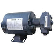 60130806 Compatible Pitco Pump Assembly