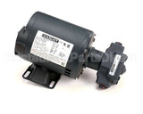 60130807 Pitco Pump,5 Gpm W/Mot 1/3Hp 240V