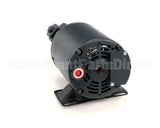 60130807 Pitco Pump,5 Gpm W/Mot 1/3Hp 240V