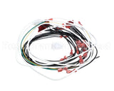 60389-001 Henny Penny Harn-120V/60/1 Ofg/Oga-32X So