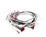 60389-001 Henny Penny Harn-120V/60/1 Ofg/Oga-32X So