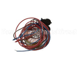 6041080 Giorik Transformr Lts Hlgn 60Va 230V12V S