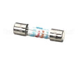 6060114 Giorik Fuse, T6.3Ma, Td, Elec, 480V, Evo, Sb (F