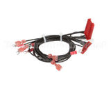 60742 Henny Penny Assembly-Wire Ofe Control,El