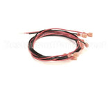 60758 Henny Penny Harness-Pump Motor 3+G Wire S