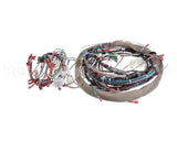 60971 Middleby Wireset,Compl Ps536Gs