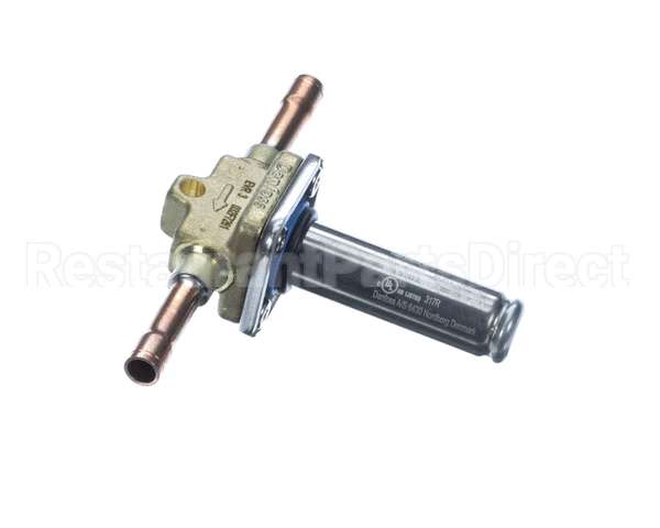 610060119 Ifi America Solenoid Valve Evr3