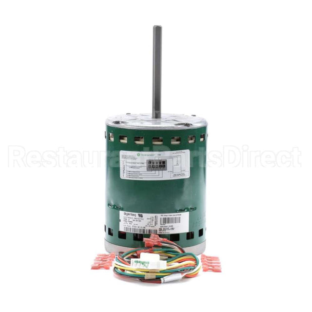 6110E Genteq Direct Drive Blower Motor