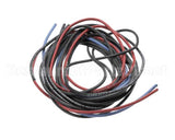 6169-7 Montague Wiring Assembly-V136