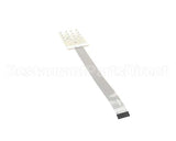 620045210 Cornelius Pad Key Brand Flavor Fusion
