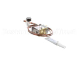 620060021 Cornelius Kit Timer Initiate Pressure