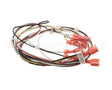 620316443 Cornelius Harness Power/Solenoids 4Fl F/B