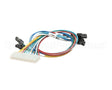 620316444 Cornelius Harness Valve Solenoid Ez123