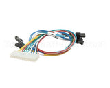 620316444 Cornelius Harness Valve Solenoid Ez123