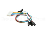 620316444 Cornelius Harness Valve Solenoid Ez123