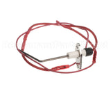 62590 Blodgett Electrode 24Kw, Cavity