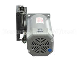 629097101 Cornelius Kit Gear Motor Vpr 60Hz W/Cap