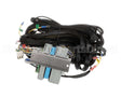 62943 Blodgett Harness,Wiring