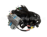 62943 Blodgett Harness,Wiring