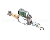 6301018 Angelo Po Gas Valve 60 Hz