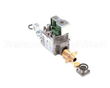 6301018 Angelo Po Gas Valve 60 Hz