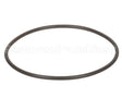 63597174P Aqua-Pure Gasket-Oring