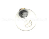 65397-7 Montague Interior Light Bulb