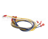 65837 Henny Penny Harness-D/S-H/L-P/S Wire