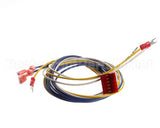 65837 Henny Penny Harness-D/S-H/L-P/S Wire