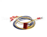 65837 Henny Penny Harness-D/S-H/L-P/S Wire