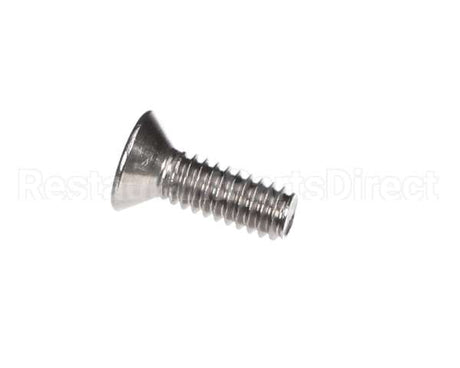67175 Middleby Scr Ms Phi 1/4-20X3/4 Ss