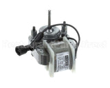 7000048-MOTOR Sertek Motor 115V