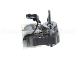 7000048-MOTOR Sertek Motor 115V