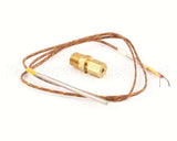 7000227 Antunes Thermocouple Repl. Kit