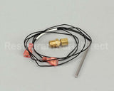7000369 Antunes Thermistor Replacemnt Kt