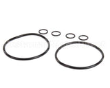 7000413 Antunes O-Ring Replacement Kit