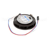 7000494 Antunes Fan Kit