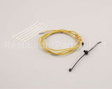 7000866 Antunes Thermocouple Kit, Platen