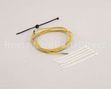 7000866 Antunes Thermocouple Kit, Platen