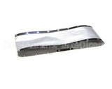 7000928 Antunes 1/3 Belt, Crown