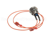 7001498 Antunes Momentary Switch Assembly