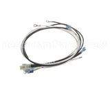7002684 Antunes Kit, Wireset Cw-100