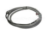 702939 Champion - Moyer Diebel Booster Harness Wjumpers