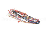 72019 Grindmaster Cecilware Harness,Low Volt,Non-Shutter