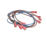 74281 Middleby Wireset,24Vdc Motor Ps670